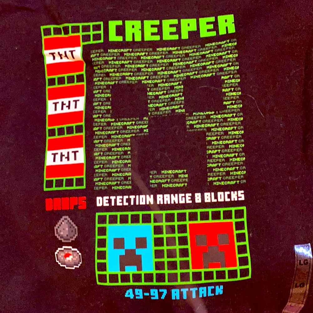 Minecraft hoodie